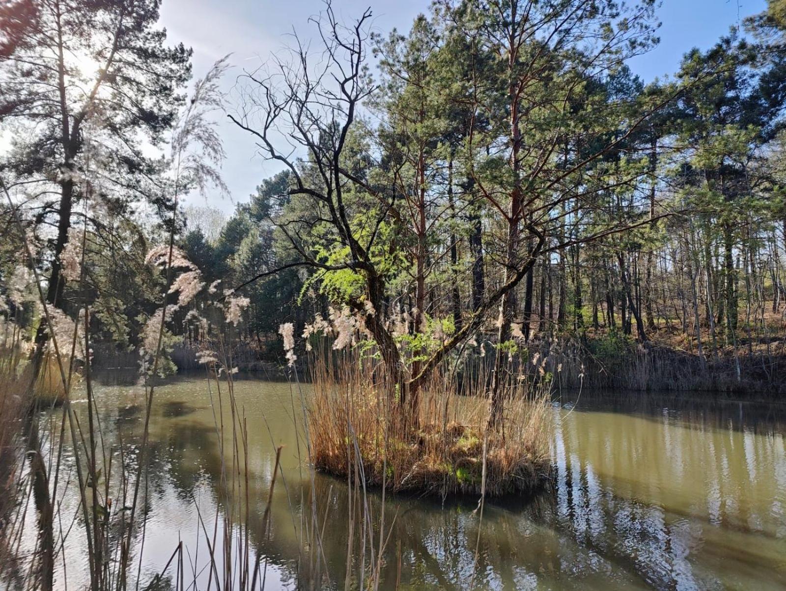 Domaine De Charnay - Charme Et Confort Dans Un Environnement D'Exception Vierzon Exterior photo